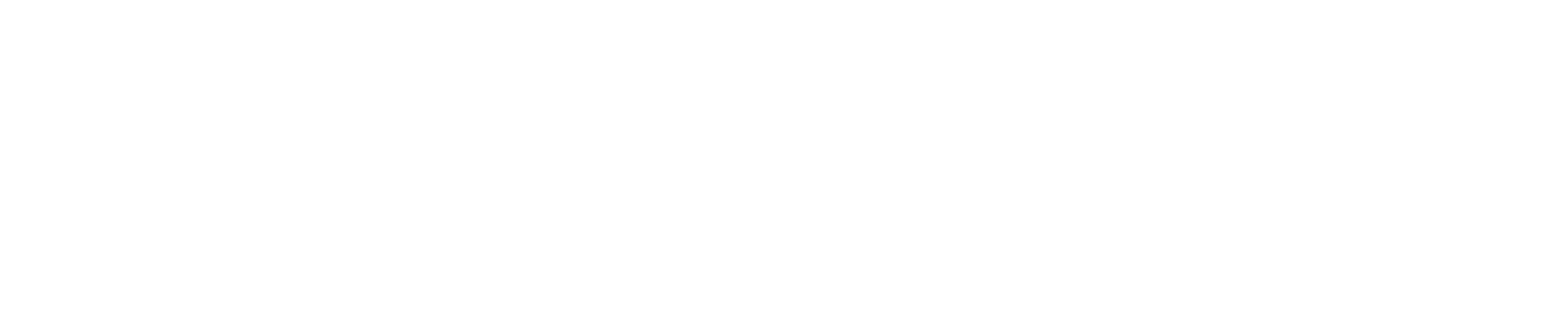 RugerLinear-W.png